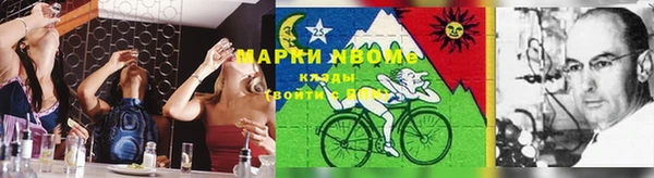 дживик Новозыбков