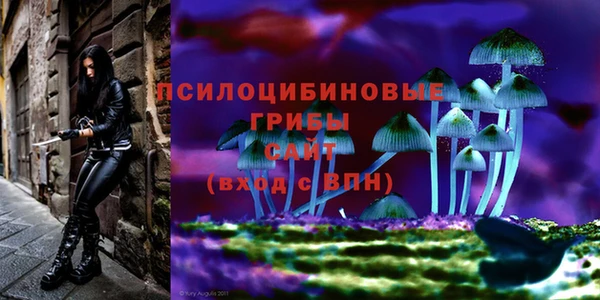 бошки Валдай