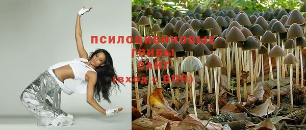 дживик Новозыбков