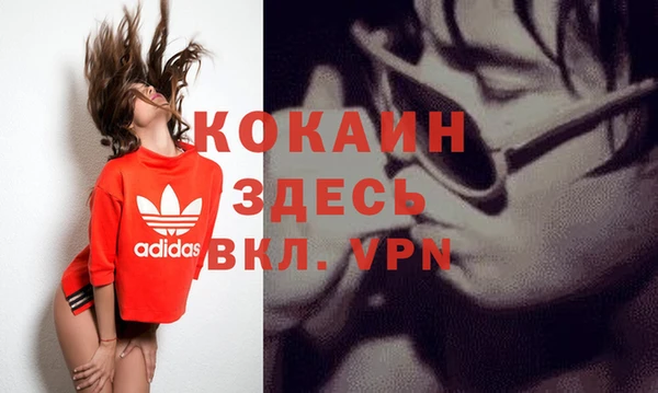 дживик Новозыбков
