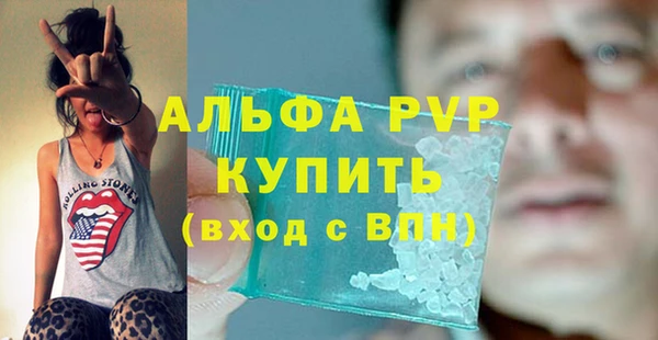 дживик Новозыбков
