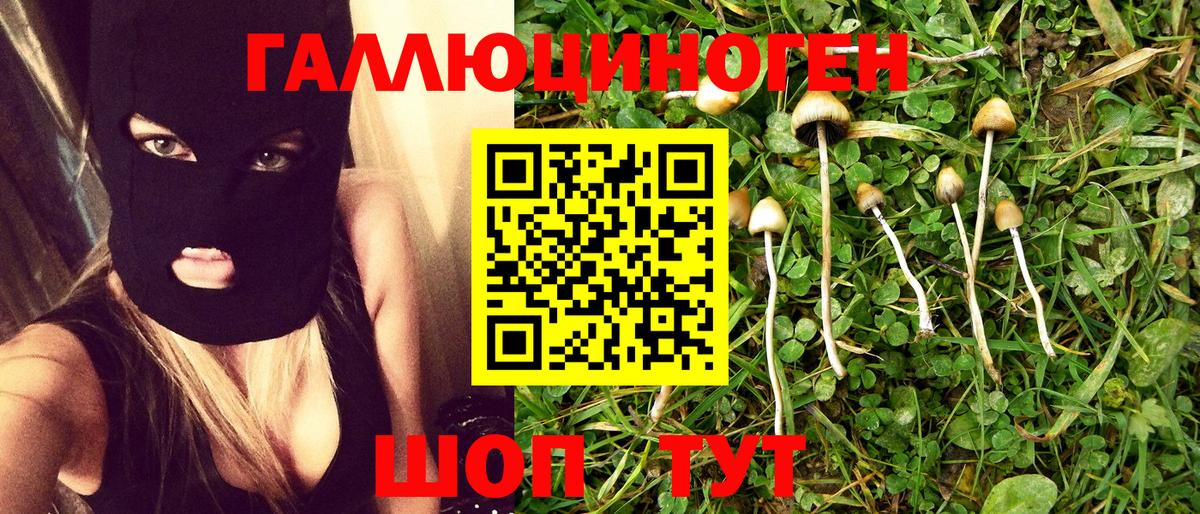 Псилоцибиновые грибы Magic Shrooms Зеленодольск