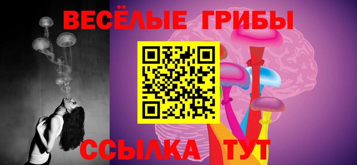 Зеленодольск  Галлюциногенные грибы Psilocybe  Вход с VPN 